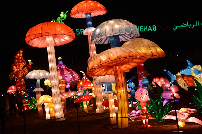 WONDERLAND A magical city of lights
